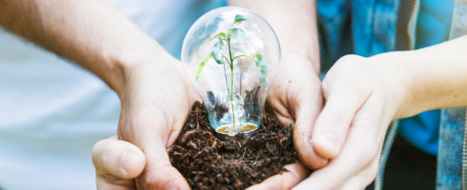 Enalp vous informe sur la supression des tarifs réglementés d'électricité